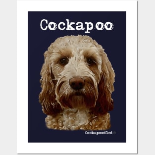 Golden Apricot Cockapoo / Spoodle and Doodle Dog Posters and Art